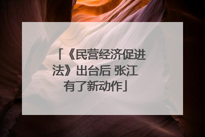 《民营经济促进法》出台后 张江有了新动作
