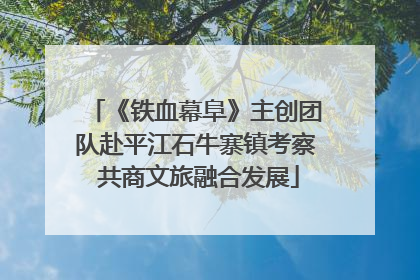《铁血幕阜》主创团队赴平江石牛寨镇考察 共商文旅融合发展