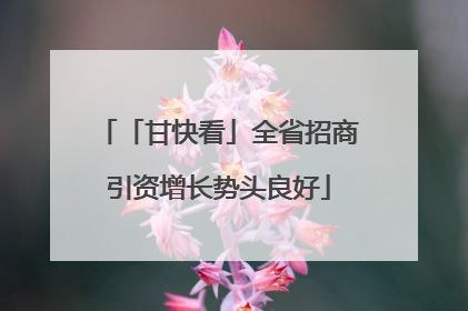 「甘快看」全省招商引资增长势头良好
