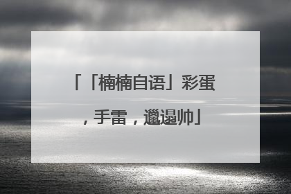「楠楠自语」彩蛋，手雷，邋遢帅