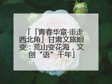「青春华章·重走西北角」甘肃文旅嬗变：荒山变花海，文创“语”千年