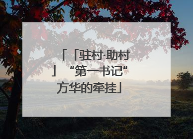 「驻村·助村」“第一书记”方华的牵挂