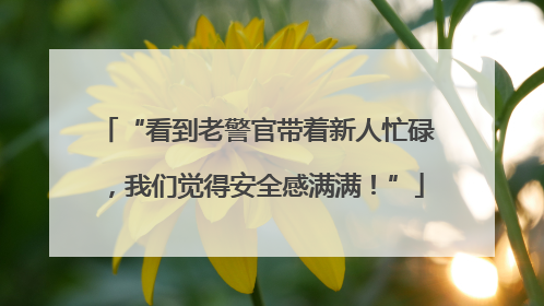 “看到老警官带着新人忙碌，我们觉得安全感满满！”