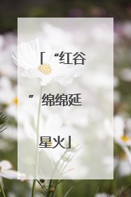 “红谷”绵绵延星火