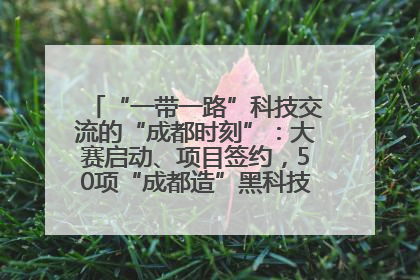 “一带一路”科技交流的“成都时刻”：大赛启动、项目签约，50项“成都造”黑科技吸引多国客商