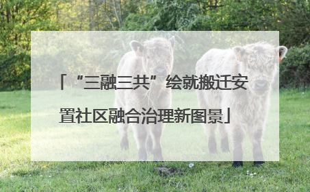 “三融三共”绘就搬迁安置社区融合治理新图景