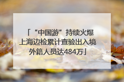 “中国游”持续火爆 上海边检累计查验出入境外籍人员达484万
