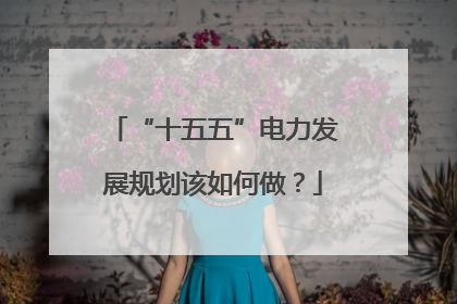 “十五五”电力发展规划该如何做？