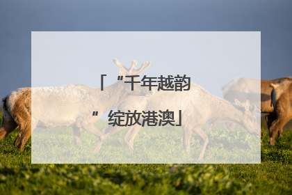 “千年越韵”绽放港澳