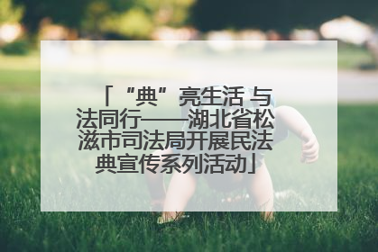 “典”亮生活 与法同行——湖北省松滋市司法局开展民法典宣传系列活动