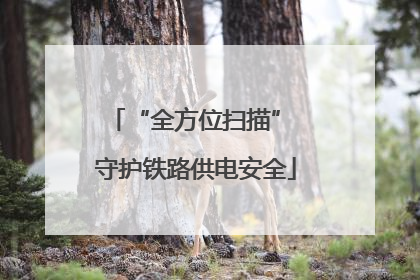 “全方位扫描” 守护铁路供电安全