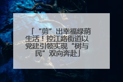 “剪”出幸福绿荫生活！控江路街道以党建引领实现“树与民”双向奔赴