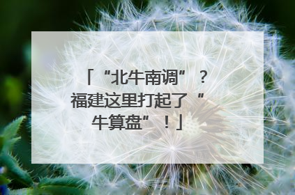 “北牛南调”？福建这里打起了“牛算盘”！