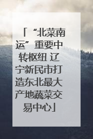 “北菜南运”重要中转枢纽 辽宁新民市打造东北最大产地蔬菜交易中心