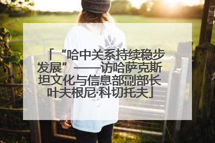 “哈中关系持续稳步发展”——访哈萨克斯坦文化与信息部副部长叶夫根尼·科切托夫