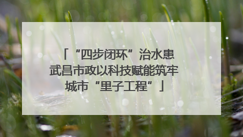 “四步闭环”治水患 武昌市政以科技赋能筑牢城市“里子工程”