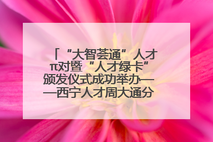 “大智荟通”人才π对暨“人才绿卡”颁发仪式成功举办——西宁人才周大通分会场亮点纷呈