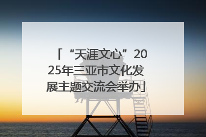 “天涯文心”2025年三亚市文化发展主题交流会举办