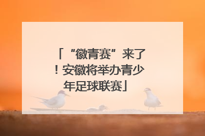 “徽青赛”来了！安徽将举办青少年足球联赛