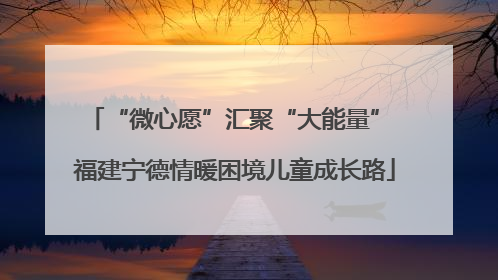 “微心愿”汇聚“大能量” 福建宁德情暖困境儿童成长路