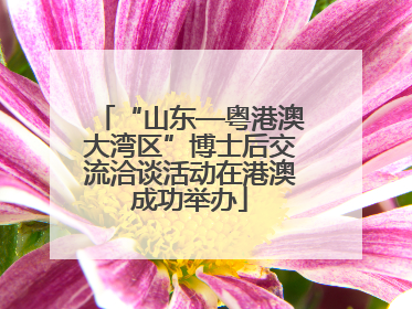 “山东—粤港澳大湾区”博士后交流洽谈活动在港澳成功举办