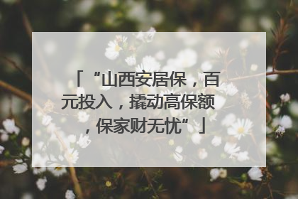“山西安居保，百元投入，撬动高保额，保家财无忧”