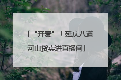 “开麦”！延庆八道河山货卖进直播间