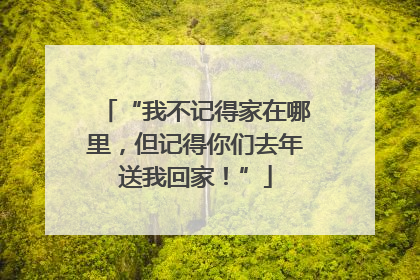 “我不记得家在哪里，但记得你们去年送我回家！”