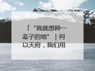 “我就想种一辈子的地”｜何以天府，我们用粮食作答②