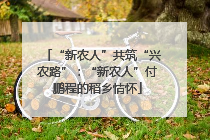 “新农人”共筑“兴农路”：“新农人”付鹏程的稻乡情怀