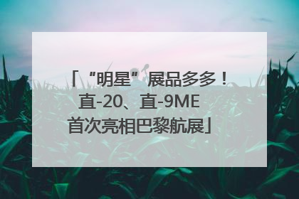 “明星”展品多多！直-20、直-9ME首次亮相巴黎航展