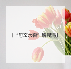 “母亲水窖”解民渴