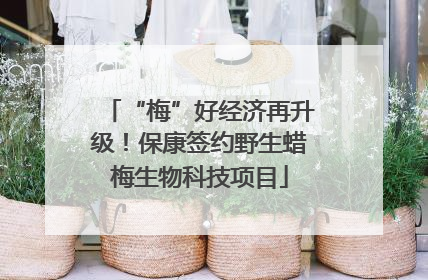 “梅”好经济再升级！保康签约野生蜡梅生物科技项目