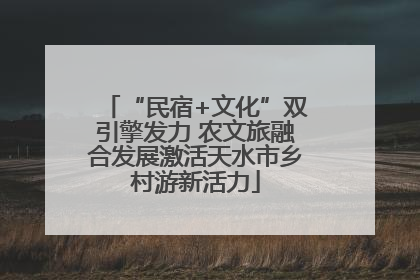 “民宿+文化”双引擎发力 农文旅融合发展激活天水市乡村游新活力