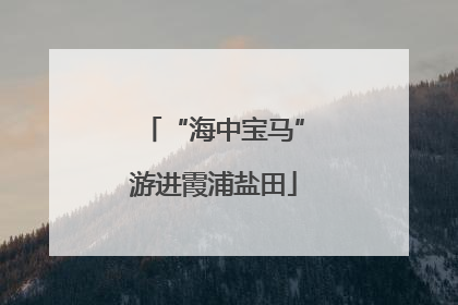 “海中宝马”游进霞浦盐田