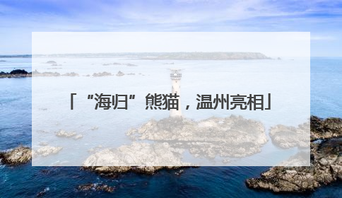 “海归”熊猫，温州亮相