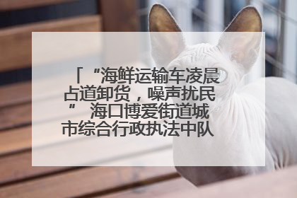 “海鲜运输车凌晨占道卸货，噪声扰民” 海口博爱街道城市综合行政执法中队：将联合交警加强长堤路一带巡逻