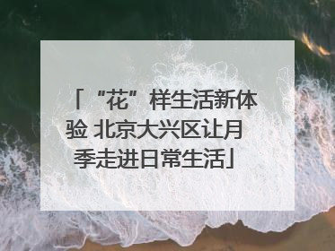 “花”样生活新体验 北京大兴区让月季走进日常生活