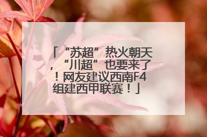 “苏超”热火朝天，“川超”也要来了！网友建议西南F4组建西甲联赛！