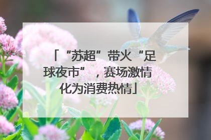 “苏超”带火“足球夜市”，赛场激情化为消费热情