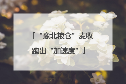 “豫北粮仓”麦收跑出“加速度”