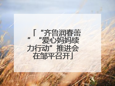 “齐鲁润春蕾”“爱心妈妈续力行动”推进会在邹平召开