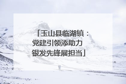 玉山县临湖镇：党建引领添助力 银发先锋展担当