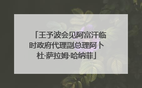 王予波会见阿富汗临时政府代理副总理阿卜杜·萨拉姆·哈纳菲