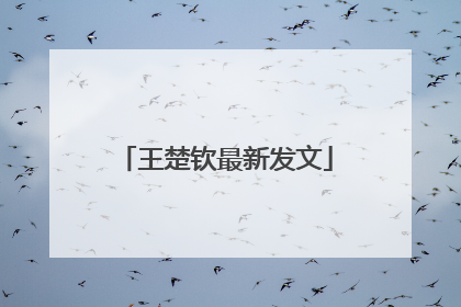 王楚钦最新发文