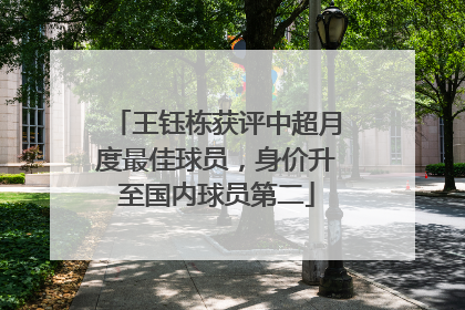 王钰栋获评中超月度最佳球员，身价升至国内球员第二