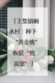 王集镇响水村：种下“黄金桃” 收获“致富果”
