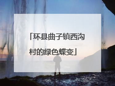 环县曲子镇西沟村的绿色蝶变