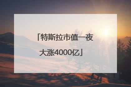 特斯拉市值一夜大涨4000亿