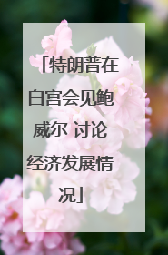特朗普在白宫会见鲍威尔 讨论经济发展情况